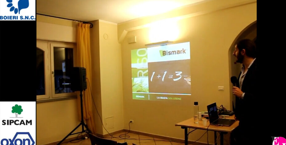 bismark_video