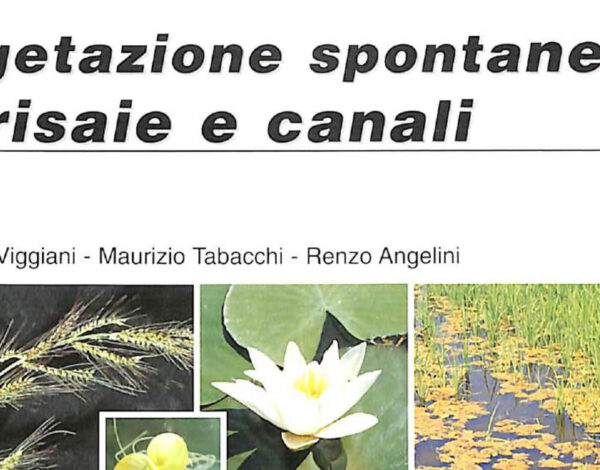 Vegetazione_spontanea_Canali_e_Risaie-1