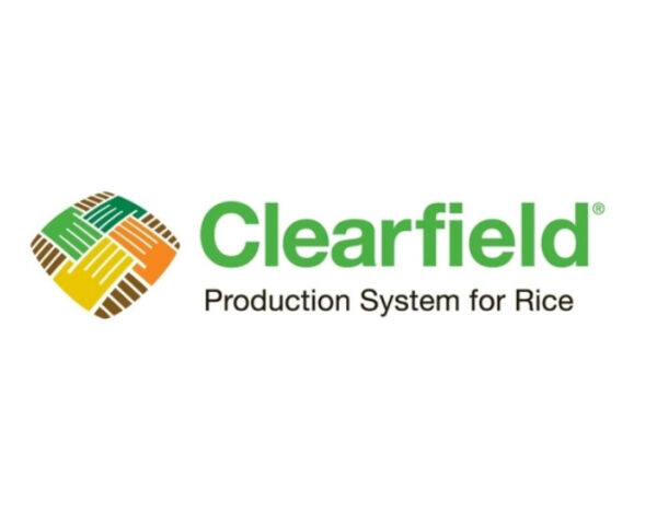 clearfield_2020