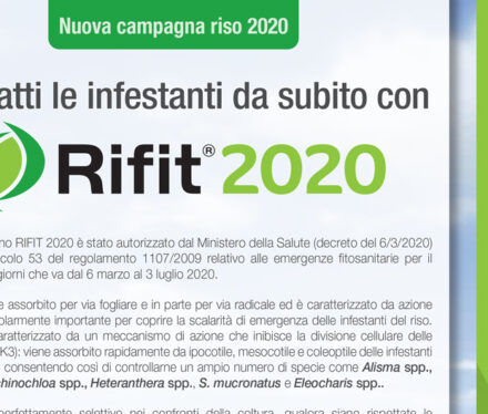 rifit_2020