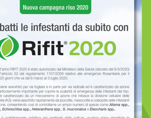 rifit_2020