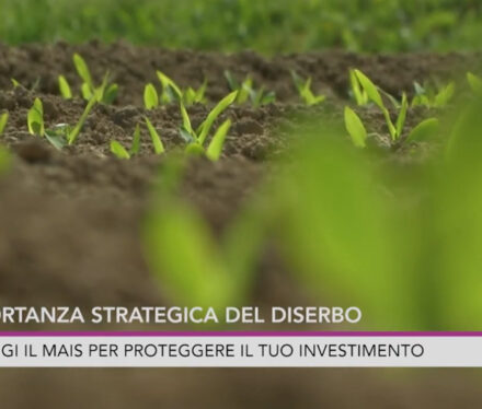 video_momento_fermarci