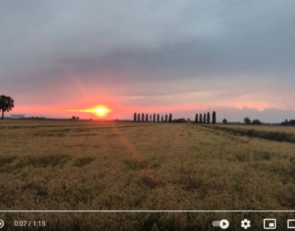 telerilevamento_in_agricoltura