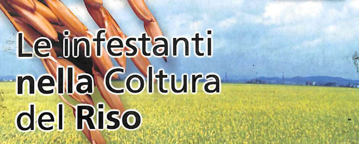 Infestanti_della_coltura_del_riso-1