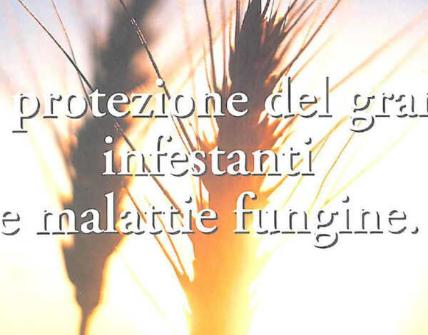 Infestanti_e_Malattie_del_Grano-1