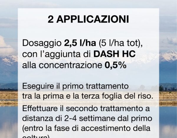 basf-005