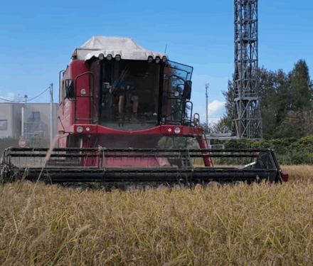 prove_in_campo_vialone_nano_27_09