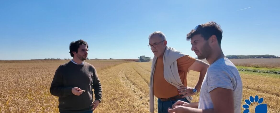 youtube-video-friuli-2025 youtube-video-friuli-2025