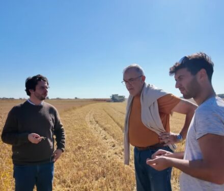 youtube-video-friuli-2025 youtube-video-friuli-2025