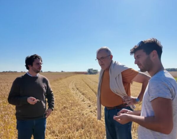 youtube-video-friuli-2025