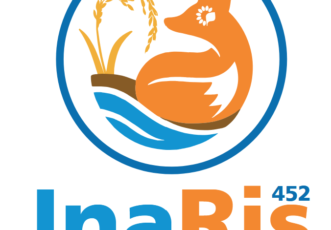 Logo Inaris Logo Inaris