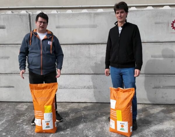 mais-kws-02 mais-kws-02